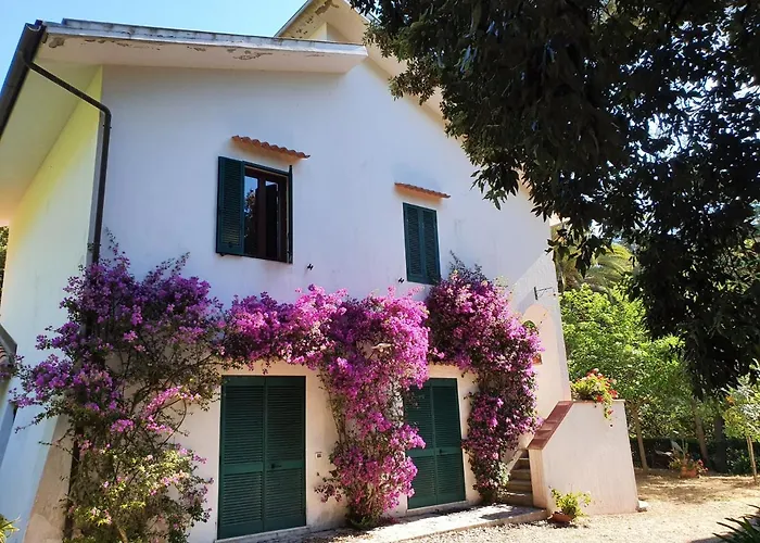 Casa I Forni A - Goelba Lejlighed *